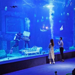 七夕将至，情侣在广州景区上演浪漫海底求婚